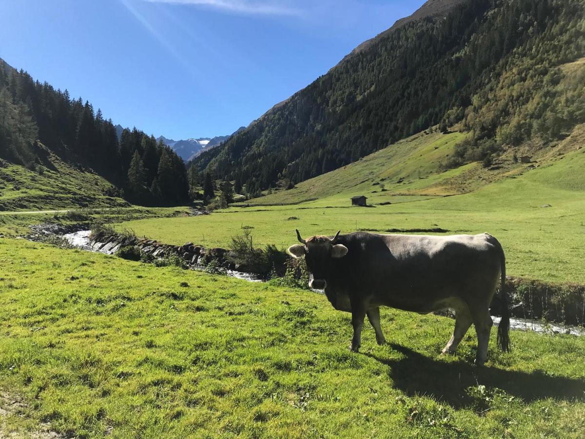 Hotel Almhof Neustift im Stubaital Exterior foto